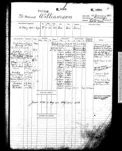 Williamson Naval Record